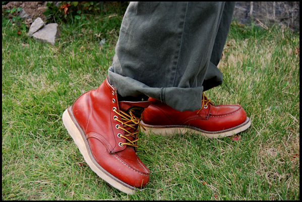 レッドブーツ 実生レッド系 確認用 レッドブーツ 実生レッド系 確認用 レッドブーツ 実生レッド系 確認用